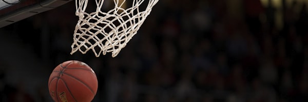 NBA美国职业篮球联赛标志